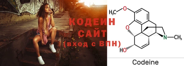 стаф Бронницы
