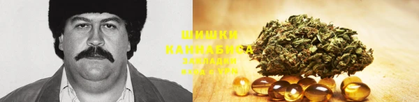 стаф Бронницы